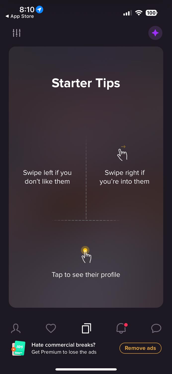 Screenshot of instructions on how to use a lesbian dating app.