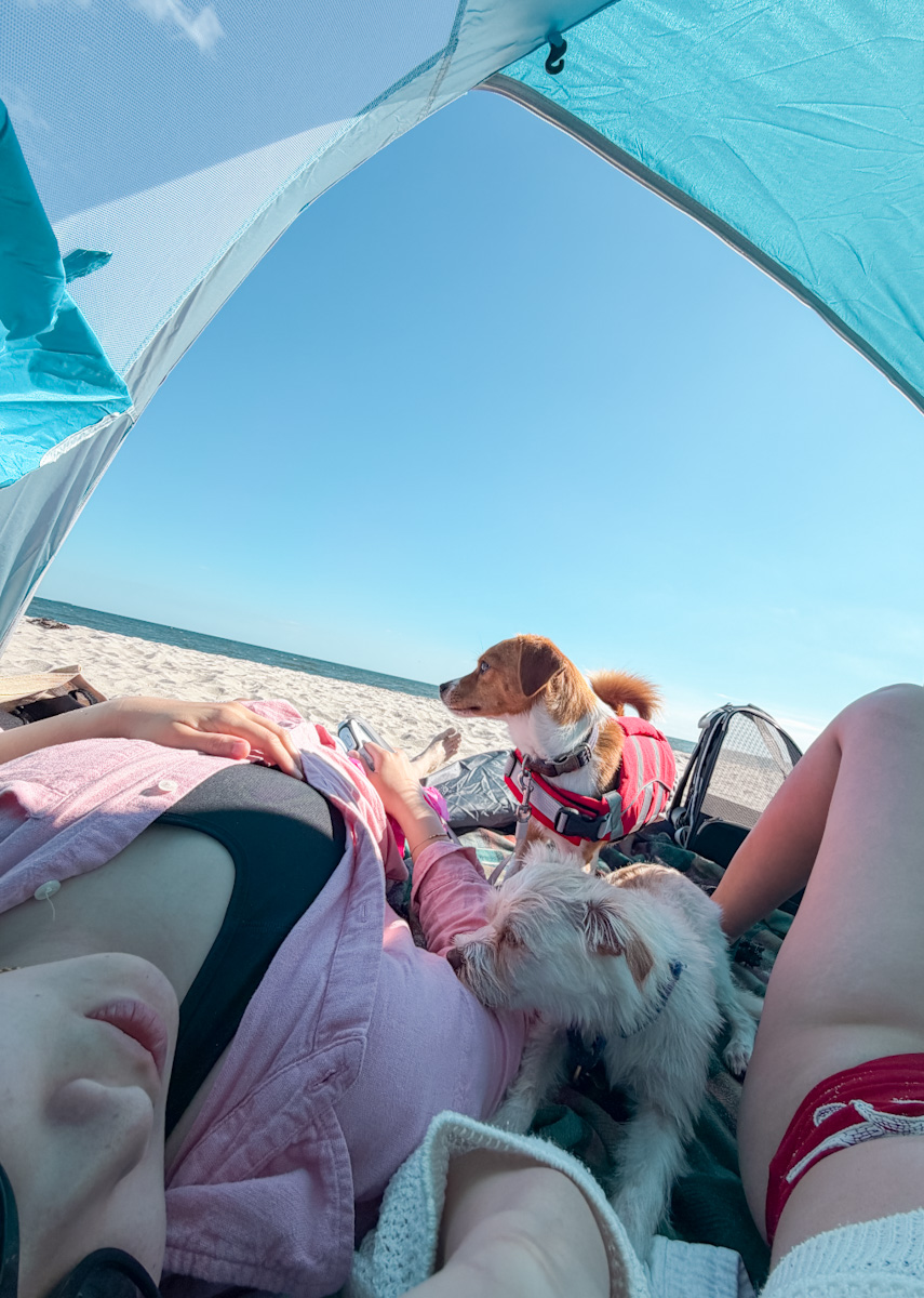 A woman lying down in a tent and two dogs on the beach in Cherry Grove, Fire Island in New York.