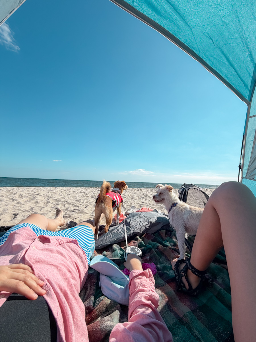 A woman lying down in a tent at a beach and holding the leash of a dog and another dog standing on the beach.