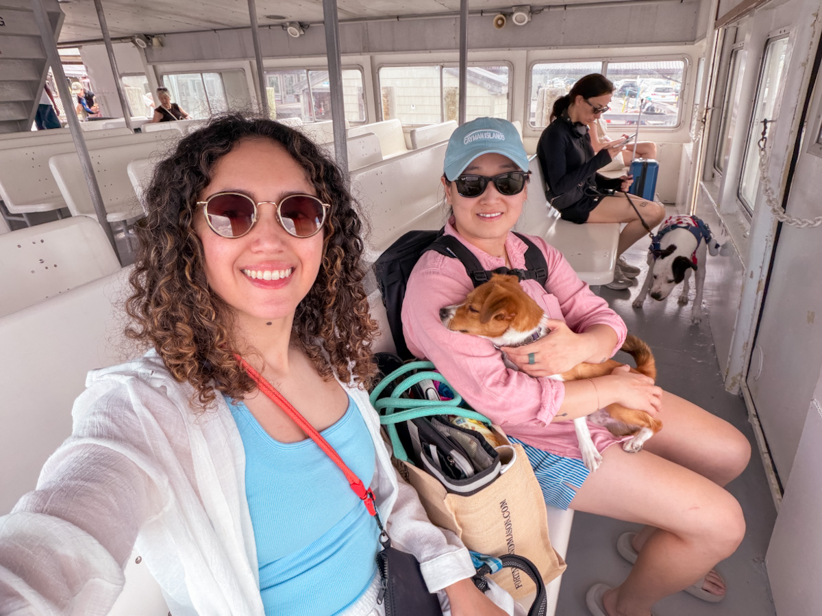 Three women with dogs sitting inside a ferry.