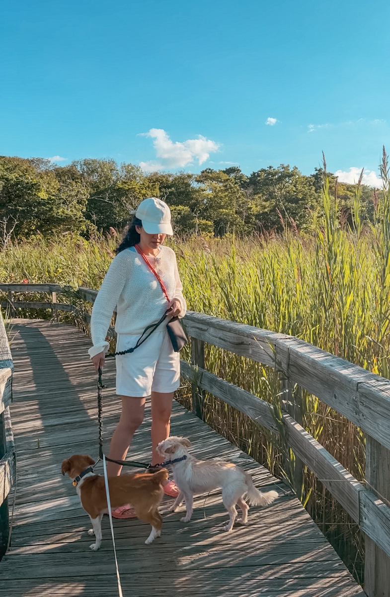 A woman with two dogs walking on a wooden pathway surrounded by tall grass in Cherry Grove, Fire Island in New York.